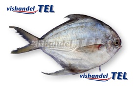Moonfish.jpg Moonfish.jpg