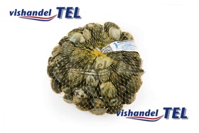 vongole.jpg vongole.jpg