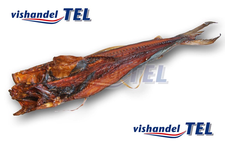 Openlijk gips Acht Vishandel Tel, assortiment vis uit Suriname