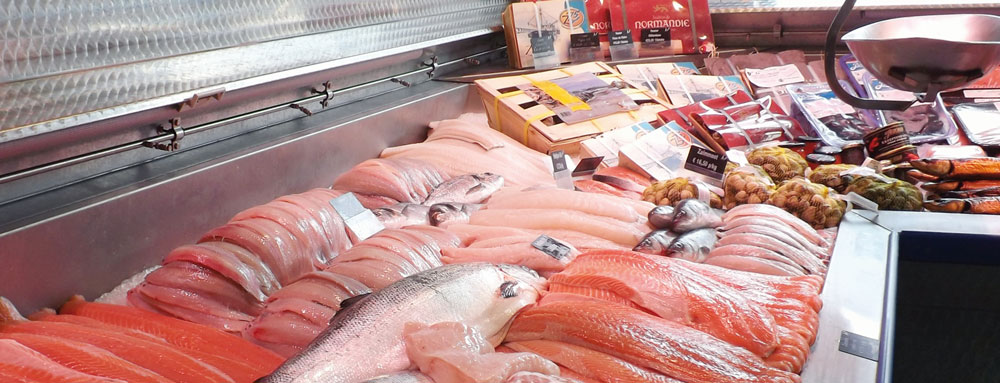 Viswinkel TEL IJmuiden voor en Particulier | Vishandel